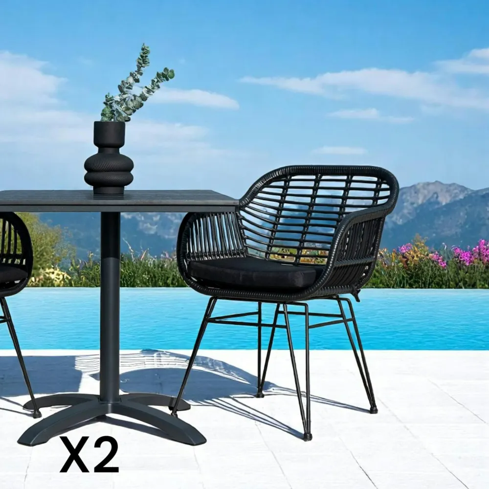 Chaises De Jardin|Meubles De Cuisine·Chaises|IBIZA Chaise de jardin noire en rotin synthétique avec accoudoirs et coussin d'assise (lot de 2)