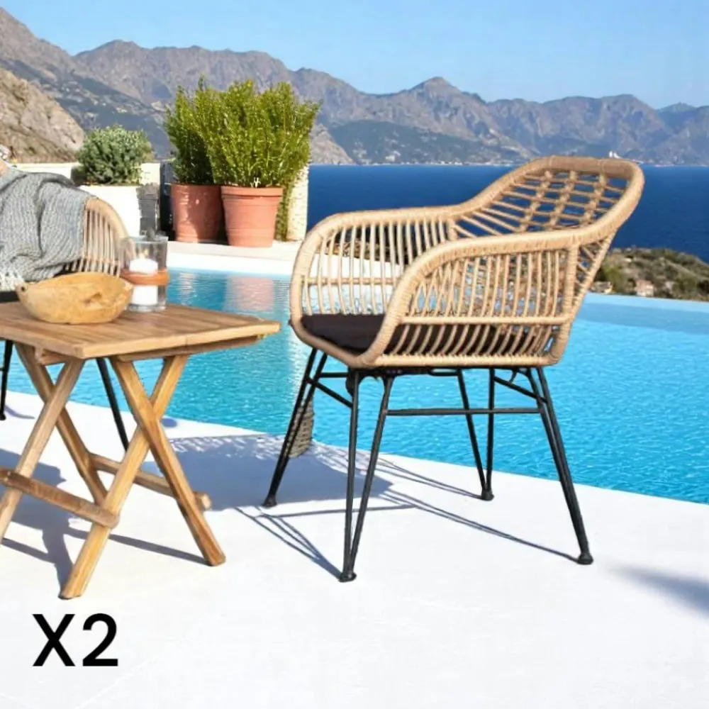 Chaises De Jardin|Meubles De Cuisine·Chaises|IBIZA Chaise de jardin noire en rotin synthétique avec accoudoirs et coussin d'assise (lot de 2)