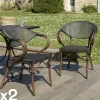 Chaises De Jardin|GIJON Fauteuil de jardin bistrot acier et textilène marron (lot de 2)