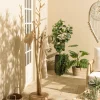 Meubles D'Entrée·Portemanteaux|MANAK Porte-manteau design naturel 3 branches de teck