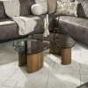 Tables Basses Design|Tables Basses En Verre| Tables salon verre fumé, design organique (lot de 2) MILOS