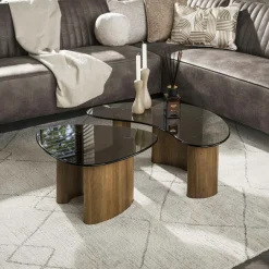 Tables Basses Design|Tables Basses En Verre| Tables salon verre fumé, design organique (lot de 2) MILOS